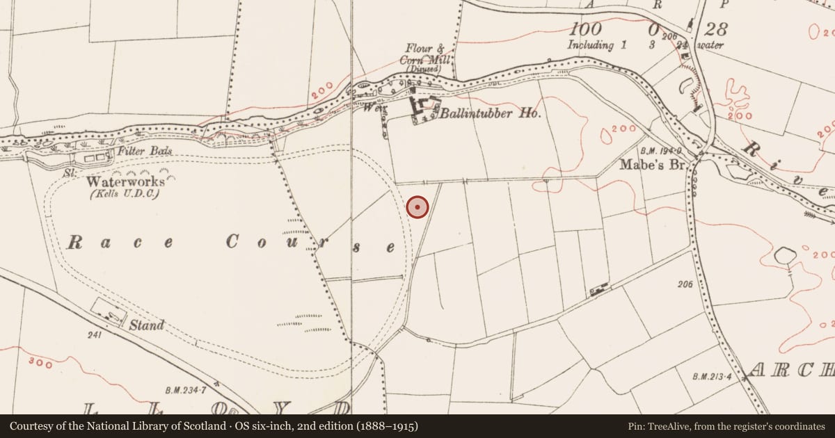 Ordnance Survey six-inch map, 2nd edition (1888–1915) covering the location of Kiln - corn-drying, Town Parks, County Meath, with a pin at the register's coordinates