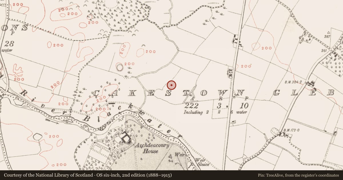 Ordnance Survey six-inch map, 2nd edition (1888–1915) covering the location of Ring-ditch, Cakestown Glebe, County Meath, with a pin at the register's coordinates
