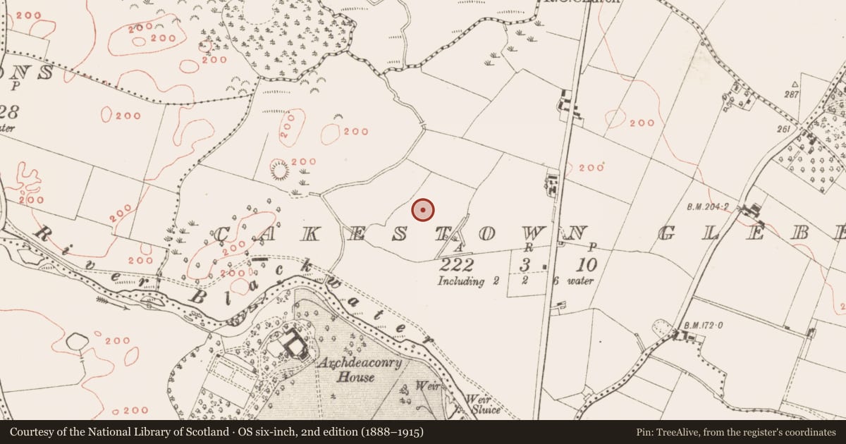 Ordnance Survey six-inch map, 2nd edition (1888–1915) covering the location of Hut site, Cakestown Glebe, County Meath, with a pin at the register's coordinates