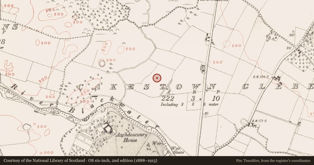 Ordnance Survey six-inch map, 2nd edition (1888–1915) covering the location of Hut site, Cakestown Glebe, County Meath, with a pin at the register's coordinates