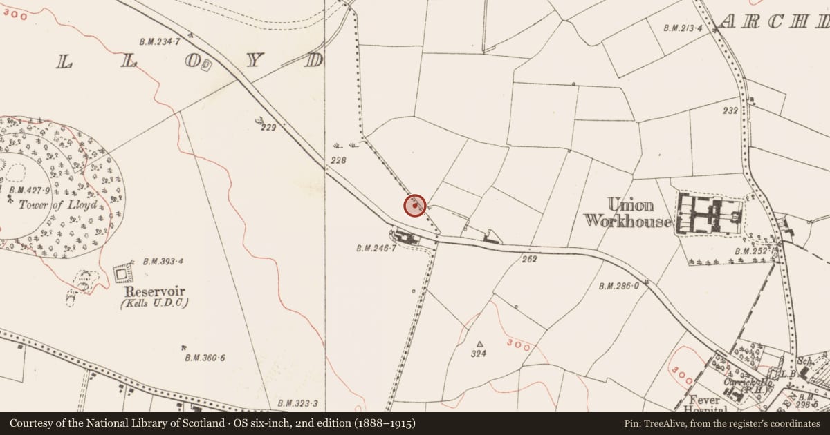 Ordnance Survey six-inch map, 2nd edition (1888–1915) covering the location of Fulacht fia, Commons of Lloyd, Town Parks, County Meath, with a pin at the register's coordinates