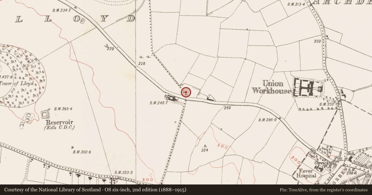 Ordnance Survey six-inch map, 2nd edition (1888–1915) covering the location of Fulacht fia, Town Parks, County Meath, with a pin at the register's coordinates