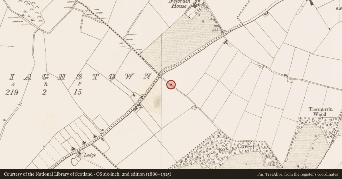 Ordnance Survey six-inch map, 2nd edition (1888–1915) covering the location of Fulacht fia, Town Parks, County Meath, with a pin at the register's coordinates