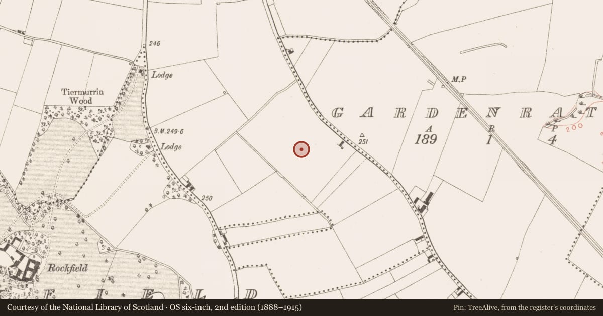 Ordnance Survey six-inch map, 2nd edition (1888–1915) covering the location of Hearth, Town Parks, County Meath, with a pin at the register's coordinates