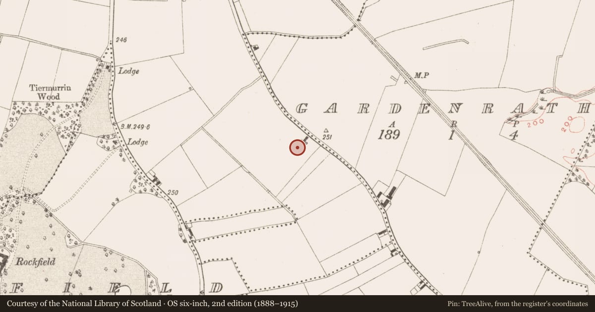 Ordnance Survey six-inch map, 2nd edition (1888–1915) covering the location of Structure, Town Parks, County Meath, with a pin at the register's coordinates