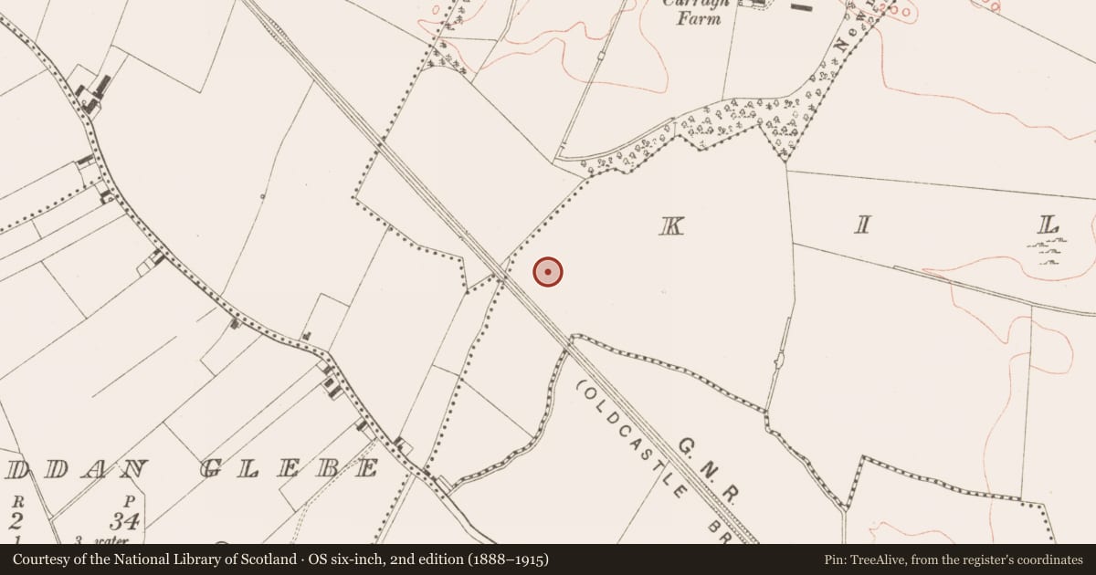 Ordnance Survey six-inch map, 2nd edition (1888–1915) covering the location of Structure, Kilmainham (Kells Upper By., Teltown Par.), County Meath, with a pin at the register's coordinates