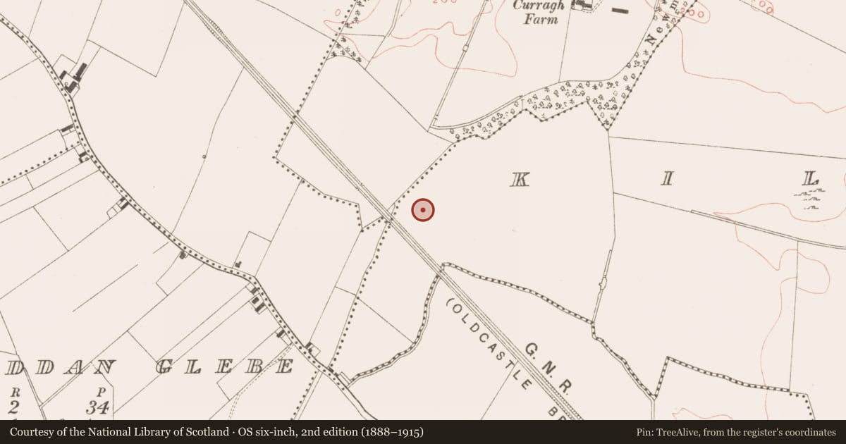 Ordnance Survey six-inch map, 2nd edition (1888–1915) covering the location of Hut site, Kilmainham (Kells Upper By., Teltown Par.), County Meath, with a pin at the register's coordinates