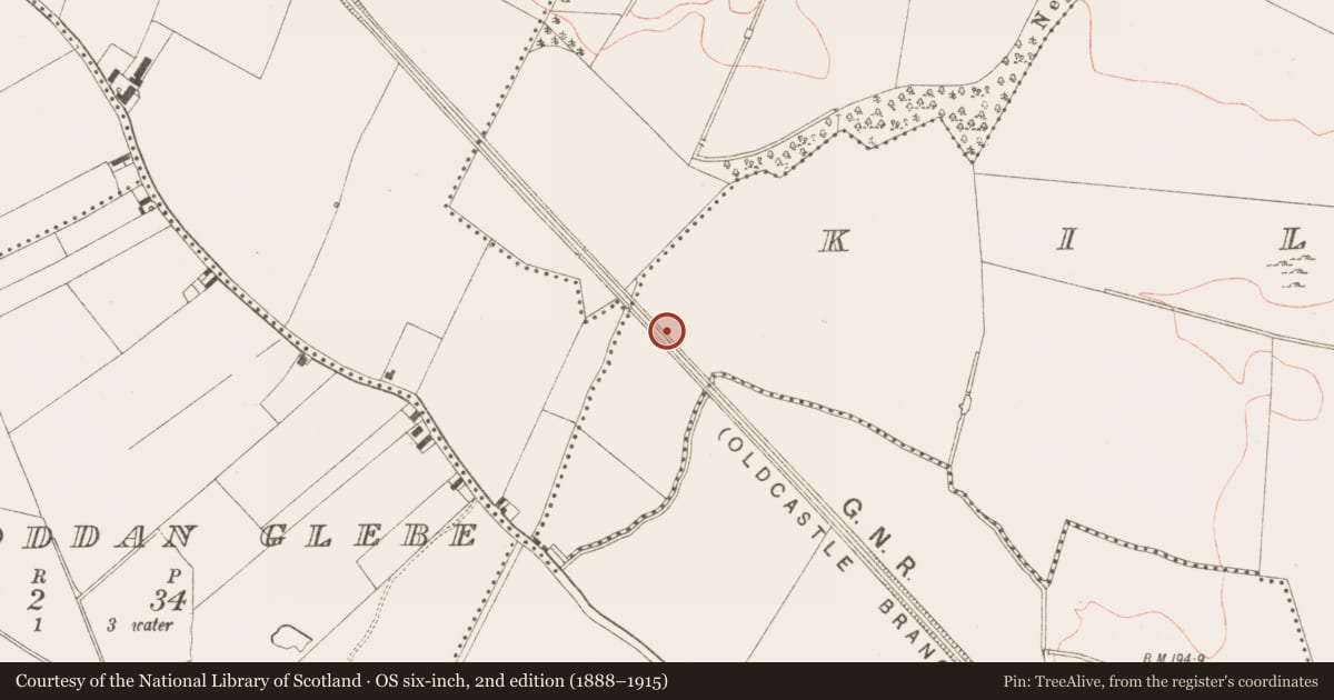 Ordnance Survey six-inch map, 2nd edition (1888–1915) covering the location of Flat cemetery, Kilmainham (Kells Upper By., Teltown Par.), County Meath, with a pin at the register's coordinates