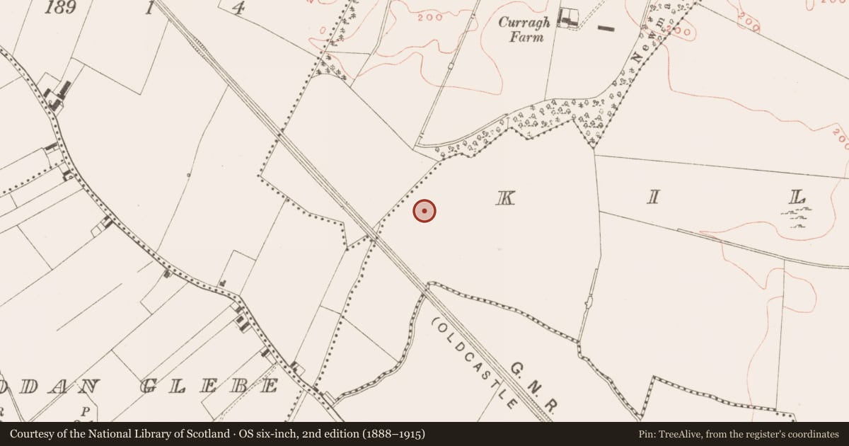 Ordnance Survey six-inch map, 2nd edition (1888–1915) covering the location of Field boundary, Kilmainham (Kells Upper By., Teltown Par.), County Meath, with a pin at the register's coordinates
