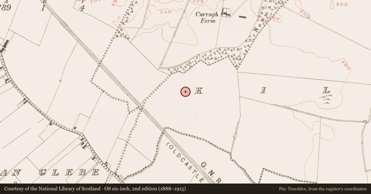 Ordnance Survey six-inch map, 2nd edition (1888–1915) covering the location of Field boundary, Kilmainham (Kells Upper By., Teltown Par.), County Meath, with a pin at the register's coordinates