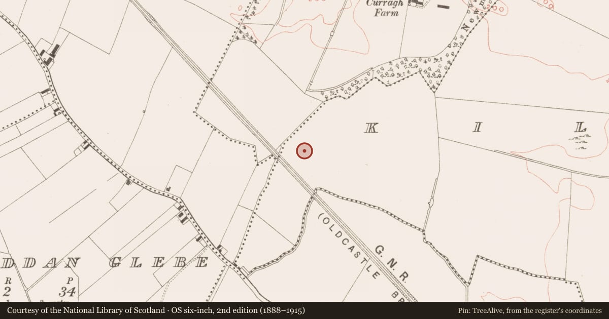 Ordnance Survey six-inch map, 2nd edition (1888–1915) covering the location of Kiln - corn-drying, Kilmainham (Kells Upper By., Teltown Par.), County Meath, with a pin at the register's coordinates