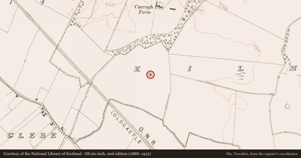 Ordnance Survey six-inch map, 2nd edition (1888–1915) covering the location of Excavation - miscellaneous, Kilmainham (Kells Upper By., Teltown Par.), County Meath, with a pin at the register's coordinates