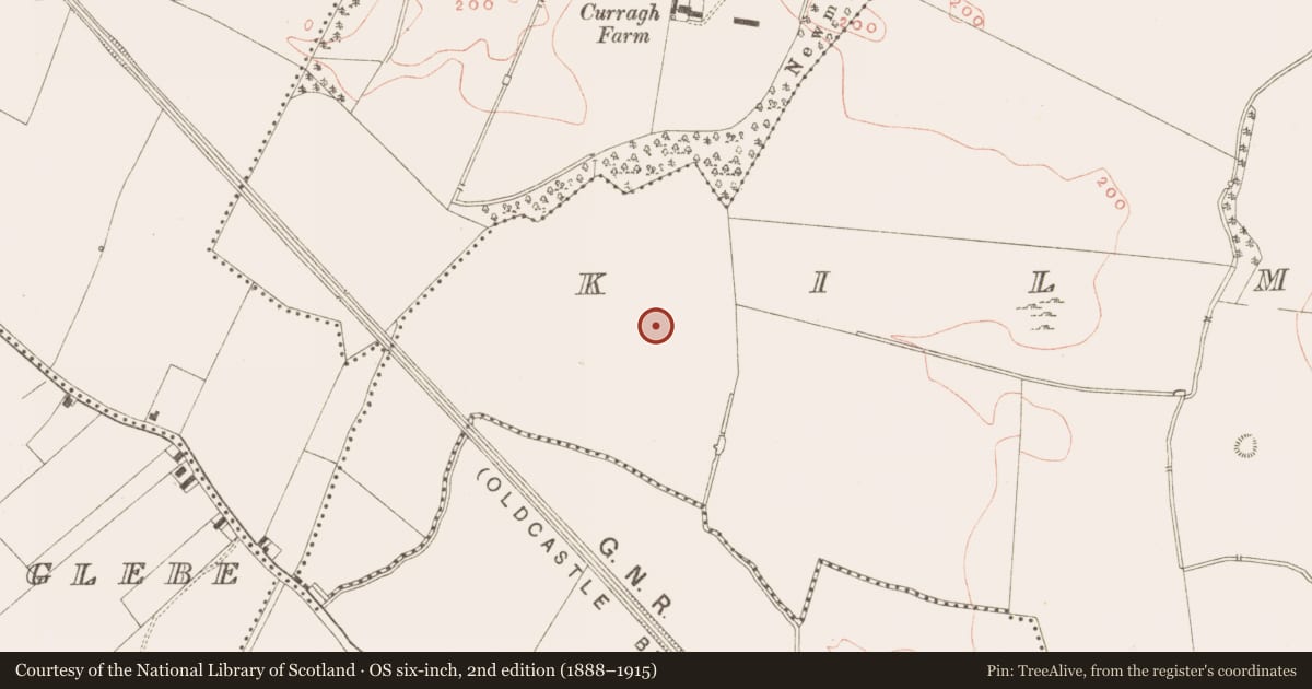 Ordnance Survey six-inch map, 2nd edition (1888–1915) covering the location of Kiln - corn-drying, Kilmainham (Kells Upper By., Teltown Par.), County Meath, with a pin at the register's coordinates