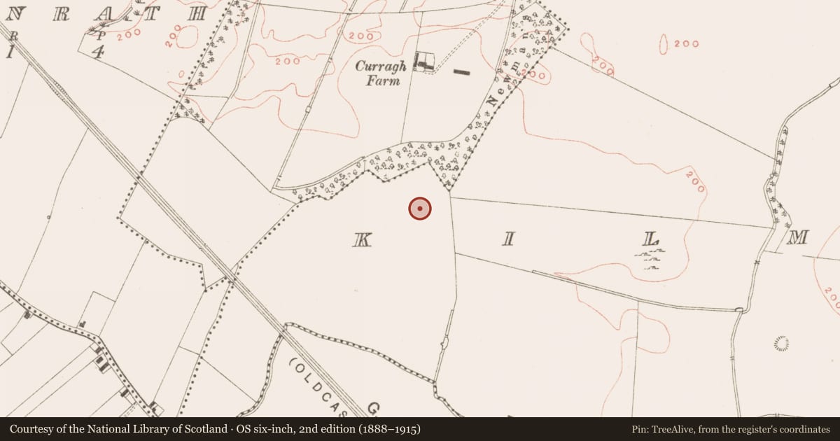 Ordnance Survey six-inch map, 2nd edition (1888–1915) covering the location of Structure, Kilmainham (Kells Upper By., Teltown Par.), County Meath, with a pin at the register's coordinates