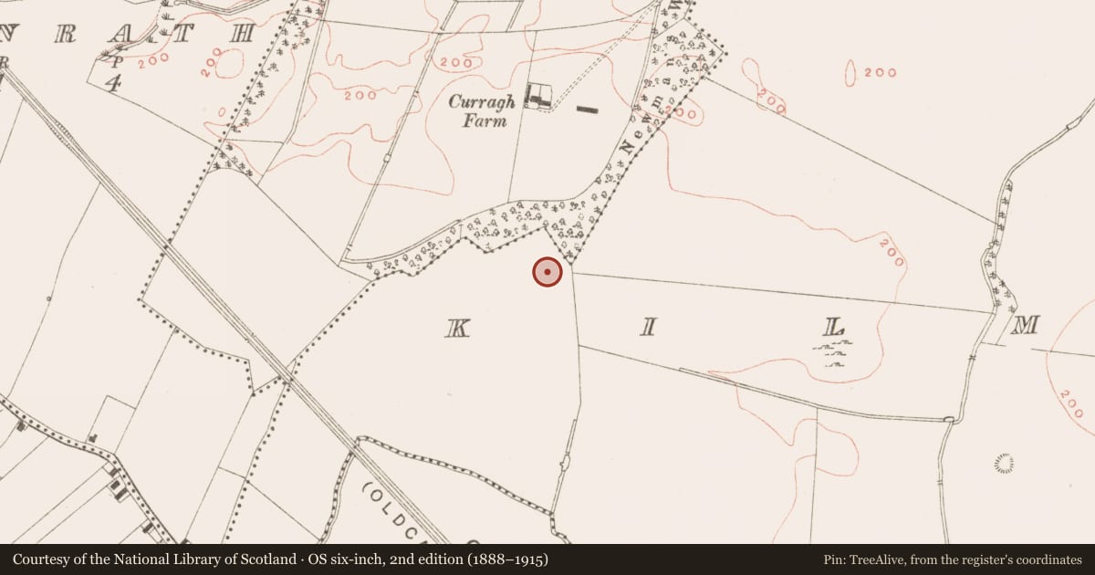 Ordnance Survey six-inch map, 2nd edition (1888–1915) covering the location of Hut site, Kilmainham (Kells Upper By., Teltown Par.), County Meath, with a pin at the register's coordinates