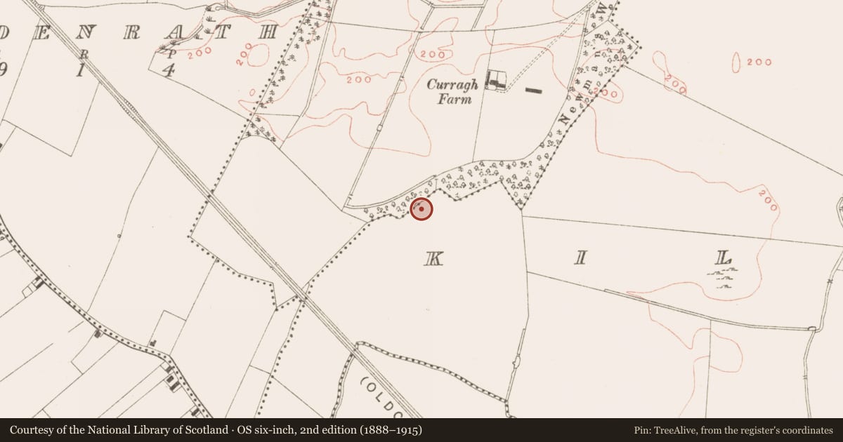 Ordnance Survey six-inch map, 2nd edition (1888–1915) covering the location of Fulacht fia, Kilmainham (Kells Upper By., Teltown Par.), County Meath, with a pin at the register's coordinates