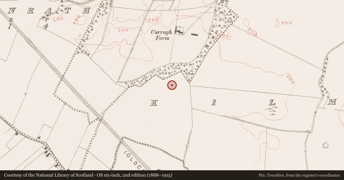 Ordnance Survey six-inch map, 2nd edition (1888–1915) covering the location of Platform, Kilmainham (Kells Upper By., Teltown Par.), County Meath, with a pin at the register's coordinates