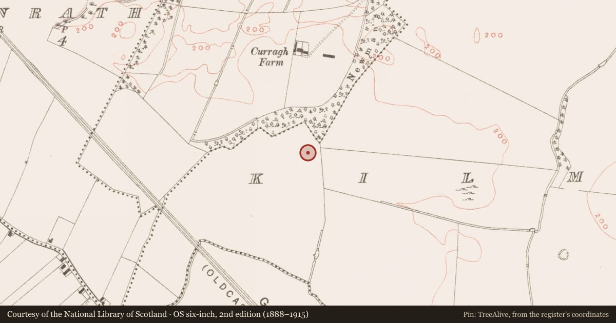 Ordnance Survey six-inch map, 2nd edition (1888–1915) covering the location of Structure, Kilmainham (Kells Upper By., Teltown Par.), County Meath, with a pin at the register's coordinates