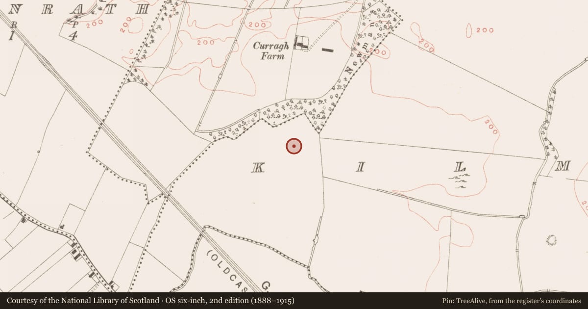 Ordnance Survey six-inch map, 2nd edition (1888–1915) covering the location of Burial, Kilmainham (Kells Upper By., Teltown Par.), County Meath, with a pin at the register's coordinates