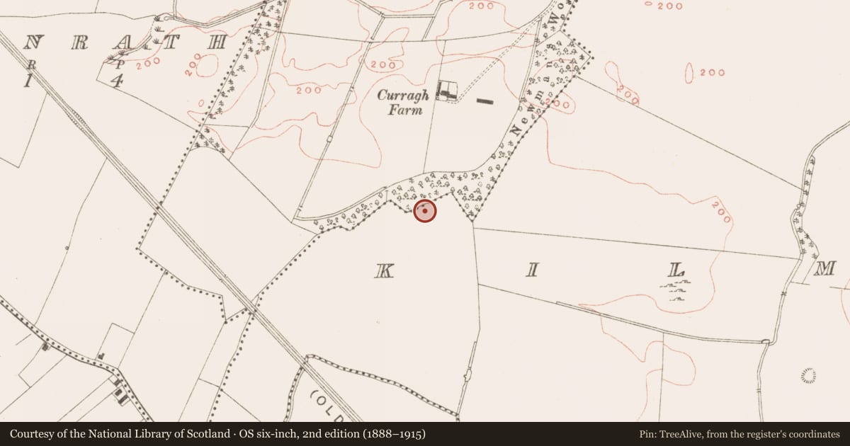 Ordnance Survey six-inch map, 2nd edition (1888–1915) covering the location of Quarry, Kilmainham (Kells Upper By., Teltown Par.), County Meath, with a pin at the register's coordinates