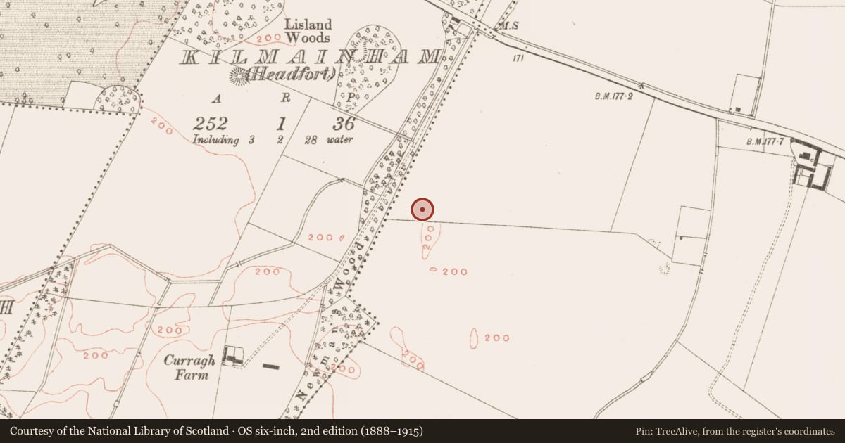Ordnance Survey six-inch map, 2nd edition (1888–1915) covering the location of Excavation - miscellaneous, Kilmainham (Kells Upper By., Teltown Par.), County Meath, with a pin at the register's coordinates