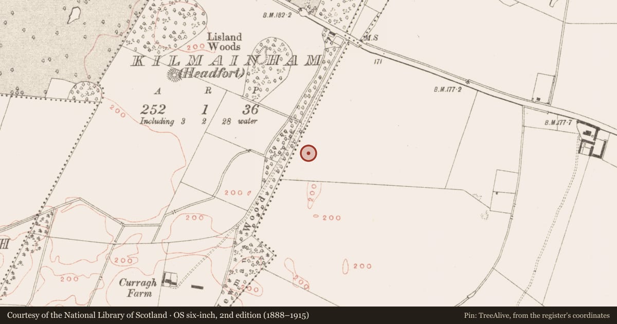Ordnance Survey six-inch map, 2nd edition (1888–1915) covering the location of Timber circle, Kilmainham (Kells Upper By., Teltown Par.), County Meath, with a pin at the register's coordinates
