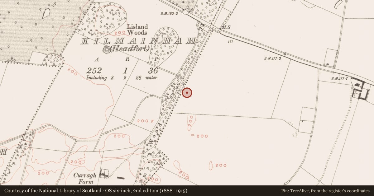 Ordnance Survey six-inch map, 2nd edition (1888–1915) covering the location of House - Neolithic, Kilmainham (Kells Upper By., Teltown Par.), County Meath, with a pin at the register's coordinates