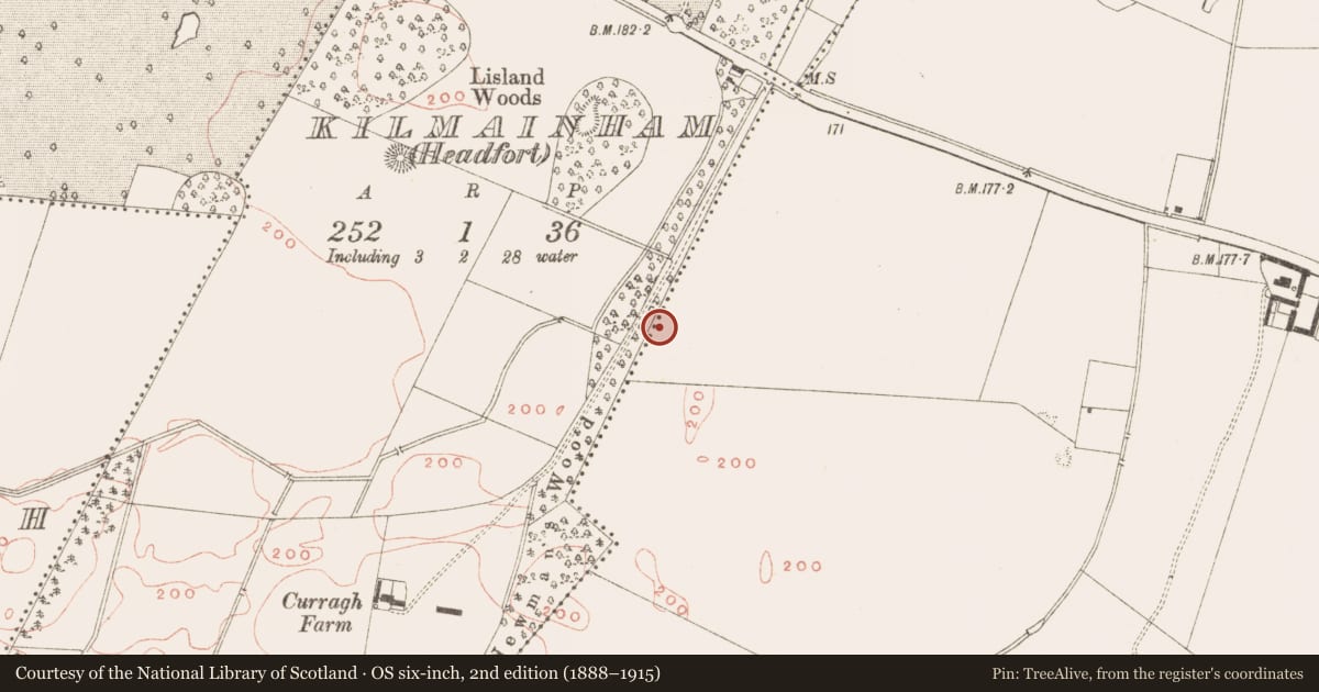 Ordnance Survey six-inch map, 2nd edition (1888–1915) covering the location of Ring-ditch, Kilmainham (Kells Upper By., Teltown Par.), County Meath, with a pin at the register's coordinates