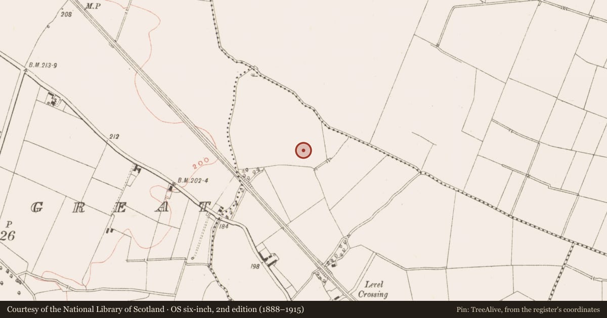 Ordnance Survey six-inch map, 2nd edition (1888–1915) covering the location of House - prehistoric, Nugentstown, County Meath, with a pin at the register's coordinates