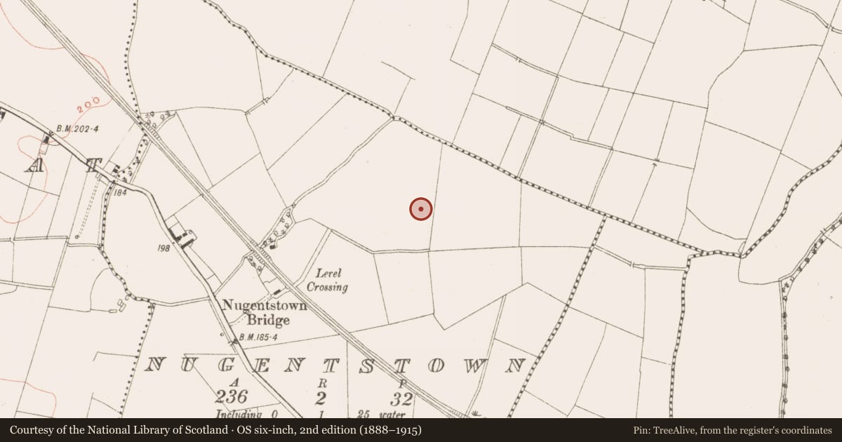 Ordnance Survey six-inch map, 2nd edition (1888–1915) covering the location of Burnt mound, Nugentstown, County Meath, with a pin at the register's coordinates