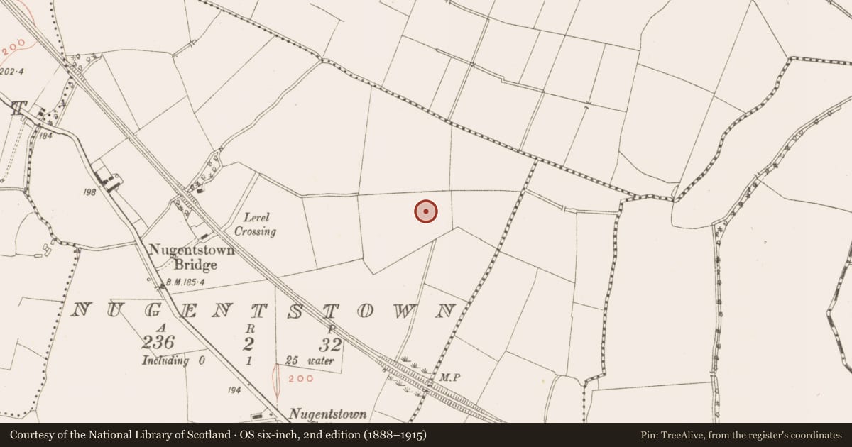 Ordnance Survey six-inch map, 2nd edition (1888–1915) covering the location of Burnt mound, Nugentstown, County Meath, with a pin at the register's coordinates