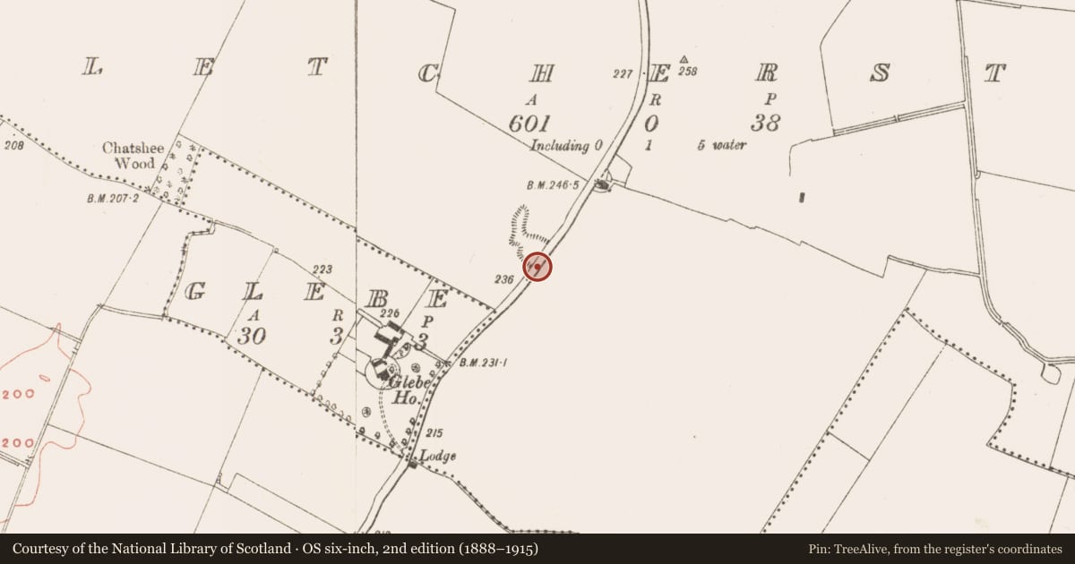 Ordnance Survey six-inch map, 2nd edition (1888–1915) covering the location of Cross - Wayside cross, Fletcherstown, County Meath, with a pin at the register's coordinates