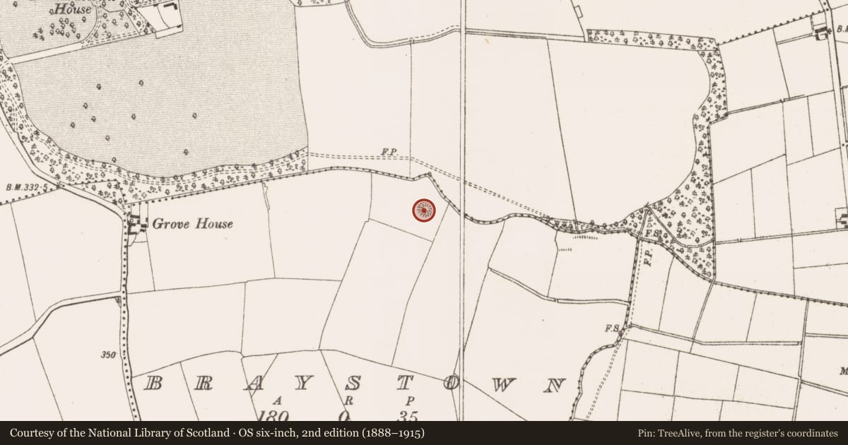 Ordnance Survey six-inch map, 2nd edition (1888–1915) covering the location of Ringfort - rath, Braystown, County Meath, with a pin at the register's coordinates
