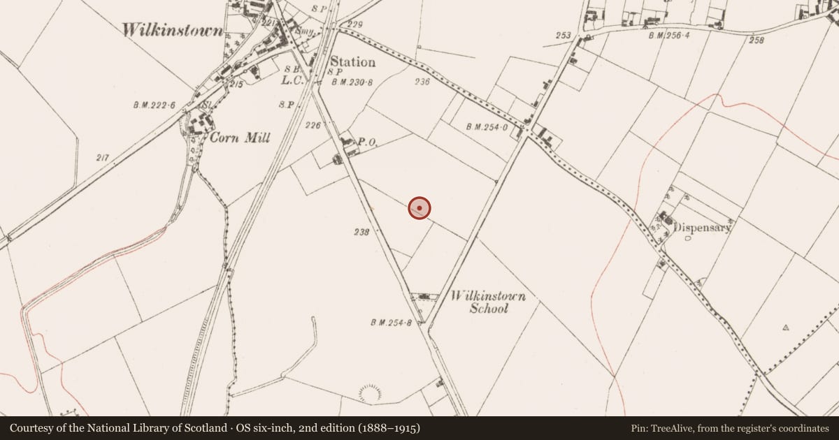 Ordnance Survey six-inch map, 2nd edition (1888–1915) covering the location of Souterrain, Balsaw, County Meath, with a pin at the register's coordinates