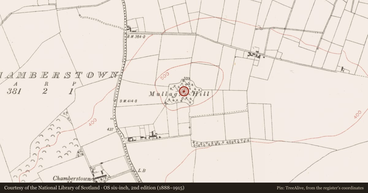 Ordnance Survey six-inch map, 2nd edition (1888–1915) covering the location of Earthwork, Mullagha, County Meath, with a pin at the register's coordinates