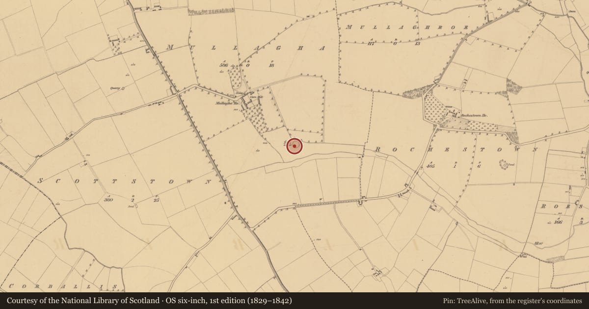Ordnance Survey six-inch map, 1st edition (1829–1842) covering the location of Ringfort - rath, Mullagha, County Meath, with a pin at the register's coordinates