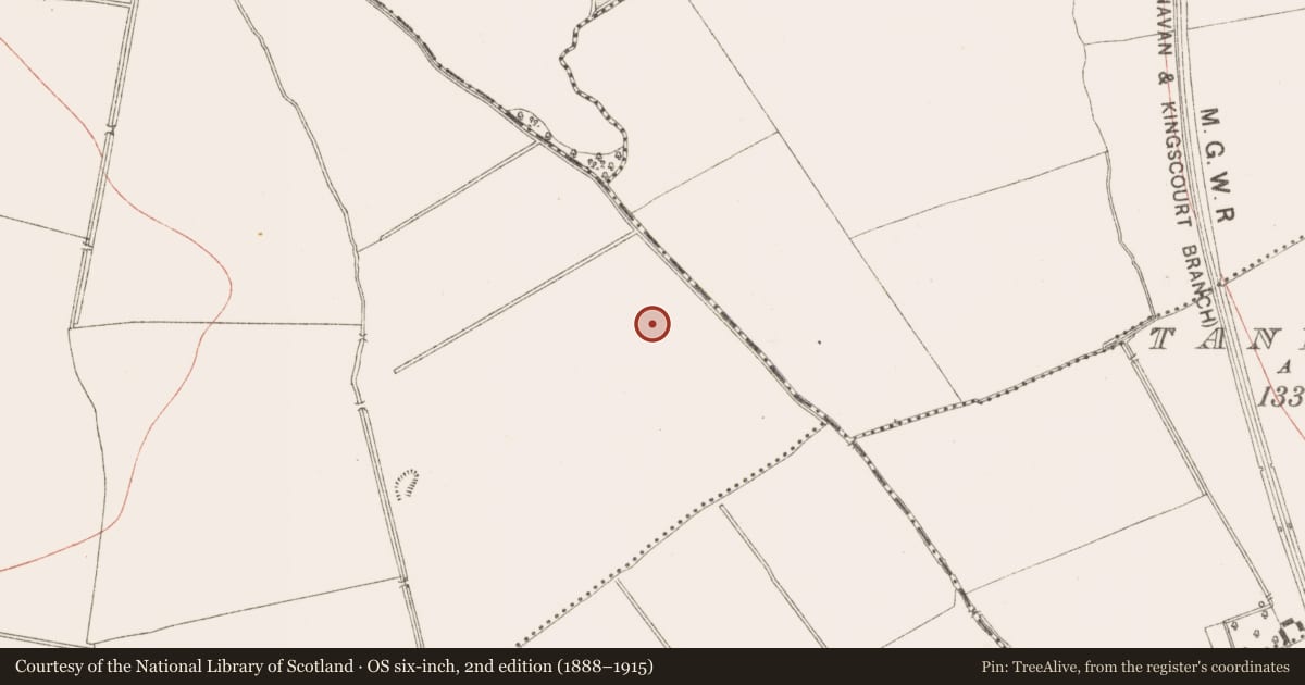 Ordnance Survey six-inch map, 2nd edition (1888–1915) covering the location of Ringfort - rath, Diméin Bhaile Ghib, County Meath, with a pin at the register's coordinates