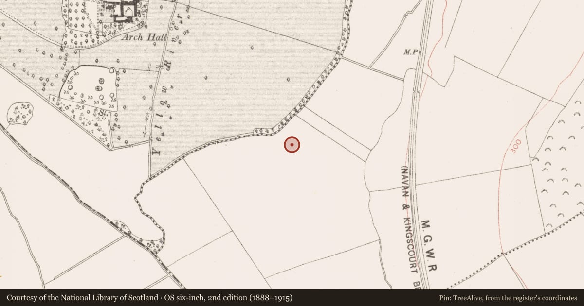 Ordnance Survey six-inch map, 2nd edition (1888–1915) covering the location of Enclosure, Balsaw, County Meath, with a pin at the register's coordinates