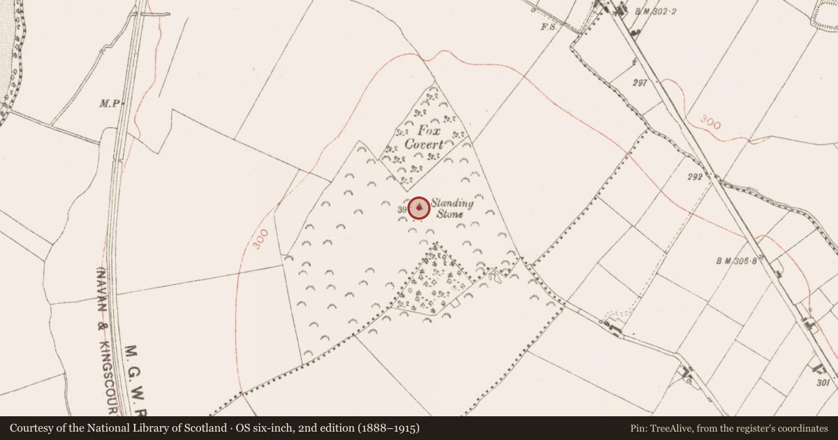 Ordnance Survey six-inch map, 2nd edition (1888–1915) covering the location of Standing stone, Balsaw, County Meath, with a pin at the register's coordinates
