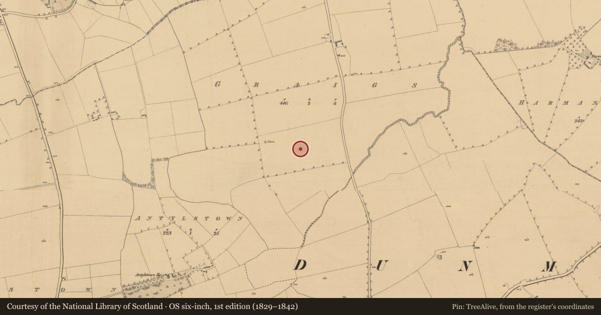 Ordnance Survey six-inch map, 1st edition (1829–1842) covering the location of Field system, Graigs, County Meath, with a pin at the register's coordinates