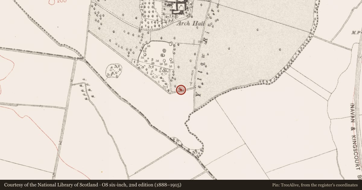 Ordnance Survey six-inch map, 2nd edition (1888–1915) covering the location of Rock art, Arch Hall, County Meath, with a pin at the register's coordinates