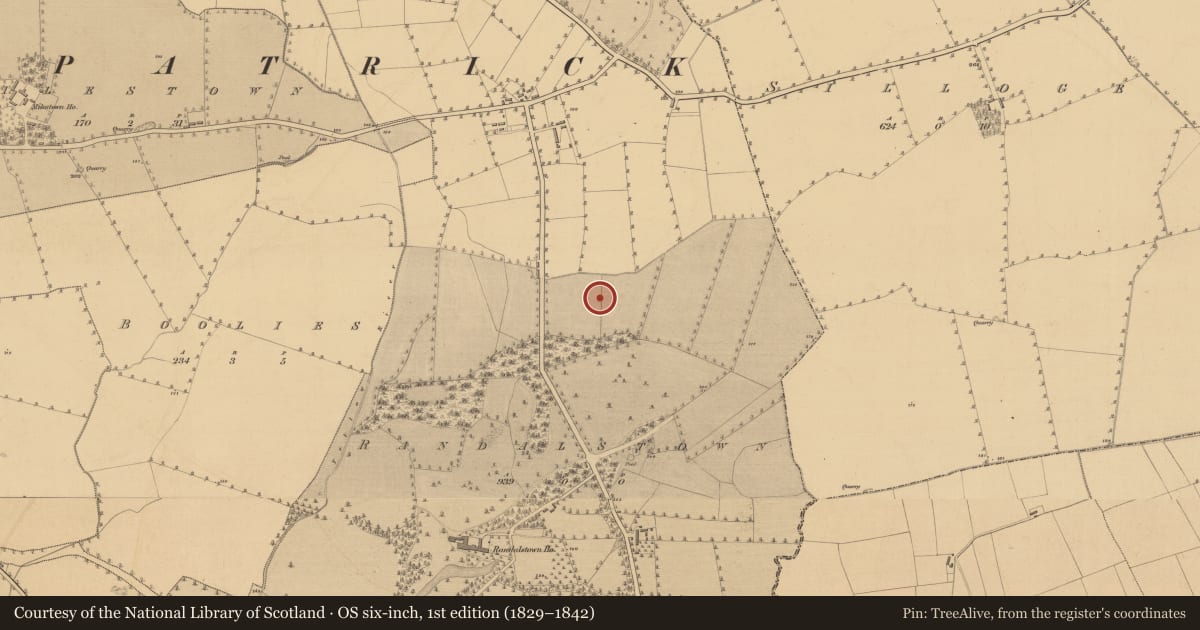 Ordnance Survey six-inch map, 1st edition (1829–1842) covering the location of Pit, Randalstown, County Meath, with a pin at the register's coordinates