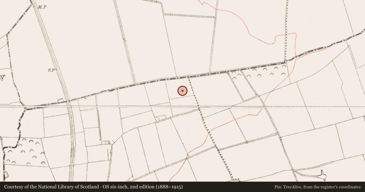 Ordnance Survey six-inch map, 2nd edition (1888–1915) covering the location of Burnt mound, Simonstown, County Meath, with a pin at the register's coordinates