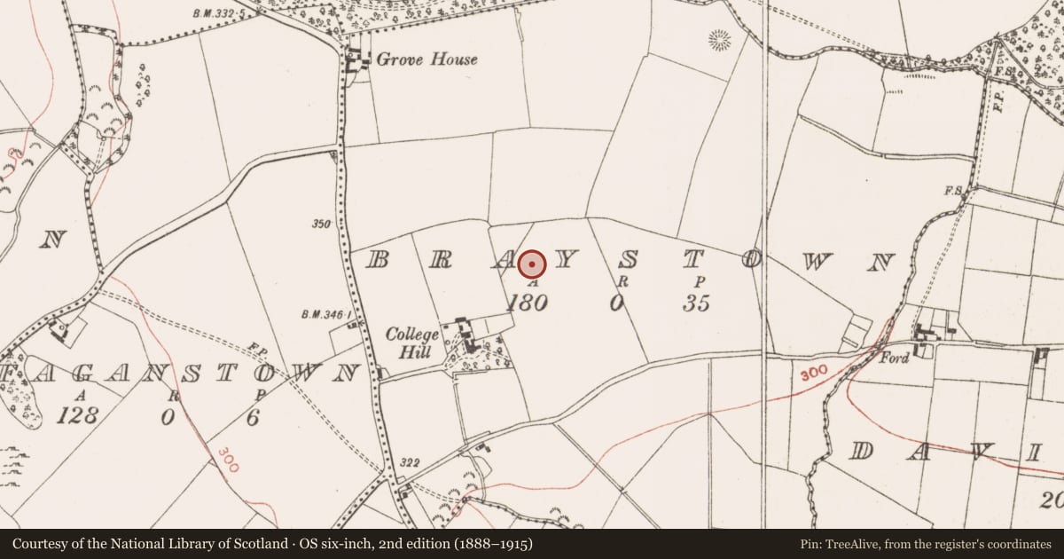 Ordnance Survey six-inch map, 2nd edition (1888–1915) covering the location of Ringfort - rath, Braystown, County Meath, with a pin at the register's coordinates