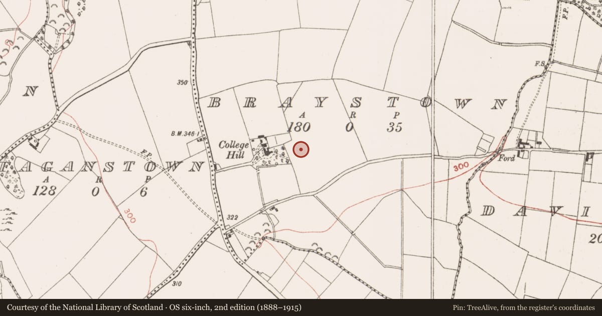 Ordnance Survey six-inch map, 2nd edition (1888–1915) covering the location of Ringfort - rath, Braystown, County Meath, with a pin at the register's coordinates