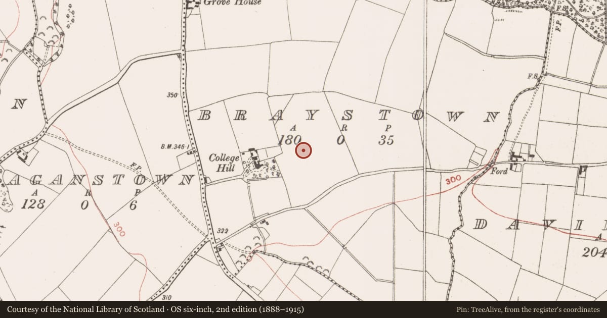 Ordnance Survey six-inch map, 2nd edition (1888–1915) covering the location of Ring-ditch, Braystown, County Meath, with a pin at the register's coordinates