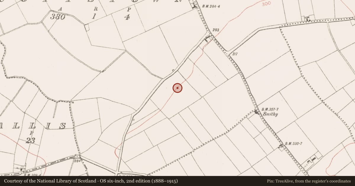 Ordnance Survey six-inch map, 2nd edition (1888–1915) covering the location of Ring-ditch, Scottstown, County Meath, with a pin at the register's coordinates