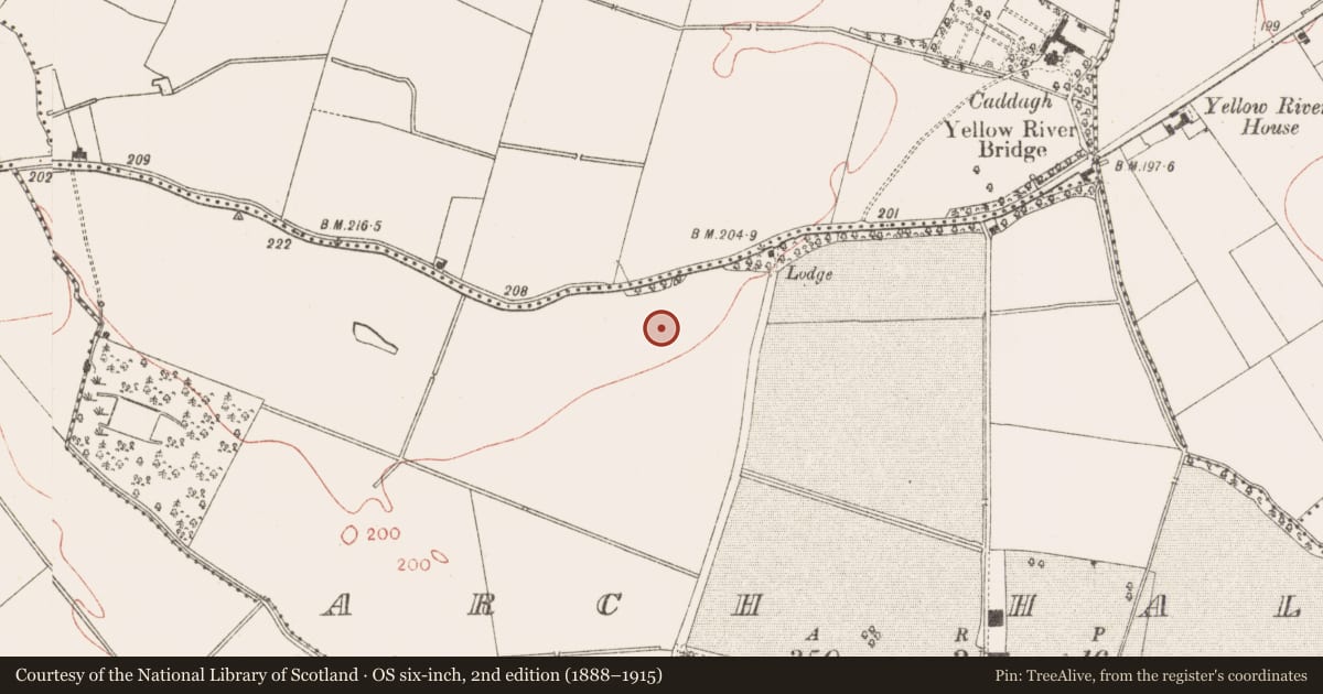 Ordnance Survey six-inch map, 2nd edition (1888–1915) covering the location of Enclosure, Arch Hall, County Meath, with a pin at the register's coordinates