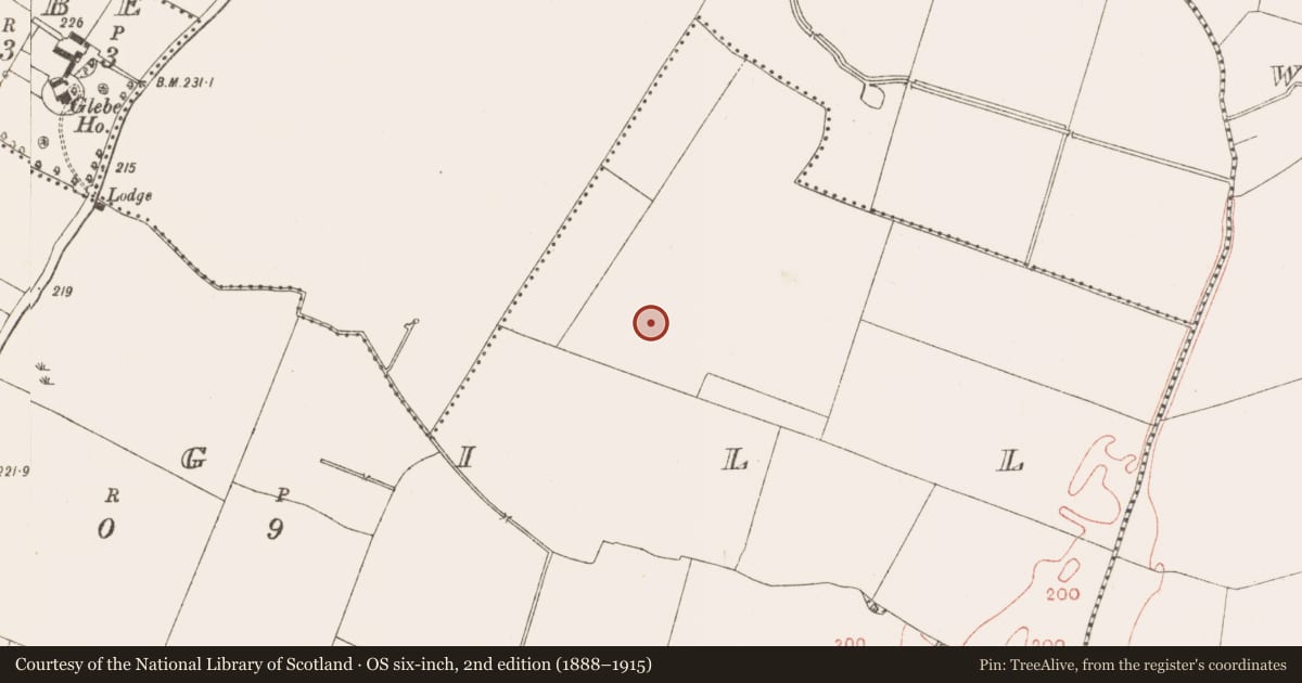 Ordnance Survey six-inch map, 2nd edition (1888–1915) covering the location of Ring-ditch, Cluain An Ghaill, County Meath, with a pin at the register's coordinates