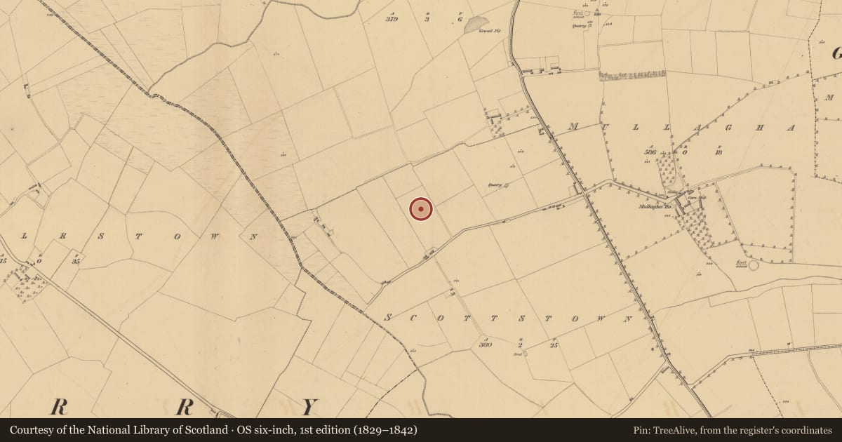 Ordnance Survey six-inch map, 1st edition (1829–1842) covering the location of Ringfort - rath, Scottstown, County Meath, with a pin at the register's coordinates